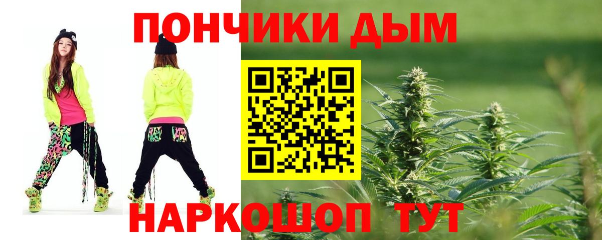 Конопля конопля Отрадный
